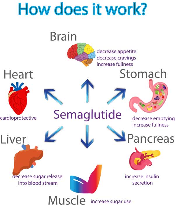 Semaglutide Injection Near Me in Paramus, NJ